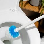 Best Way To Keep Unused Toilets Clean