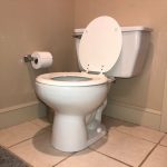 Why Is My Toilet Gurgling On A Septic System?