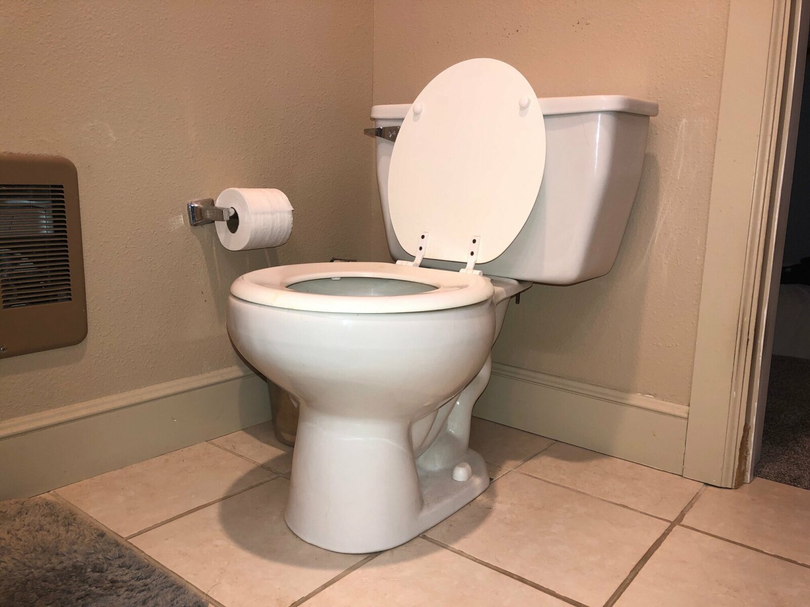 Why Is My Toilet Gurgling On A Septic System?