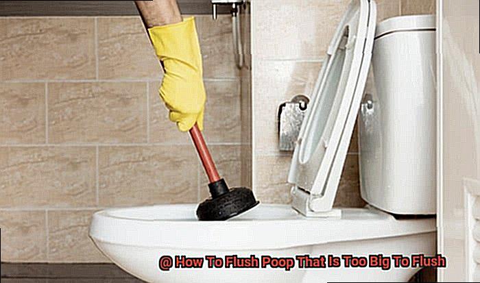 How To Flush Poop That Is Too Big To Flush-4
