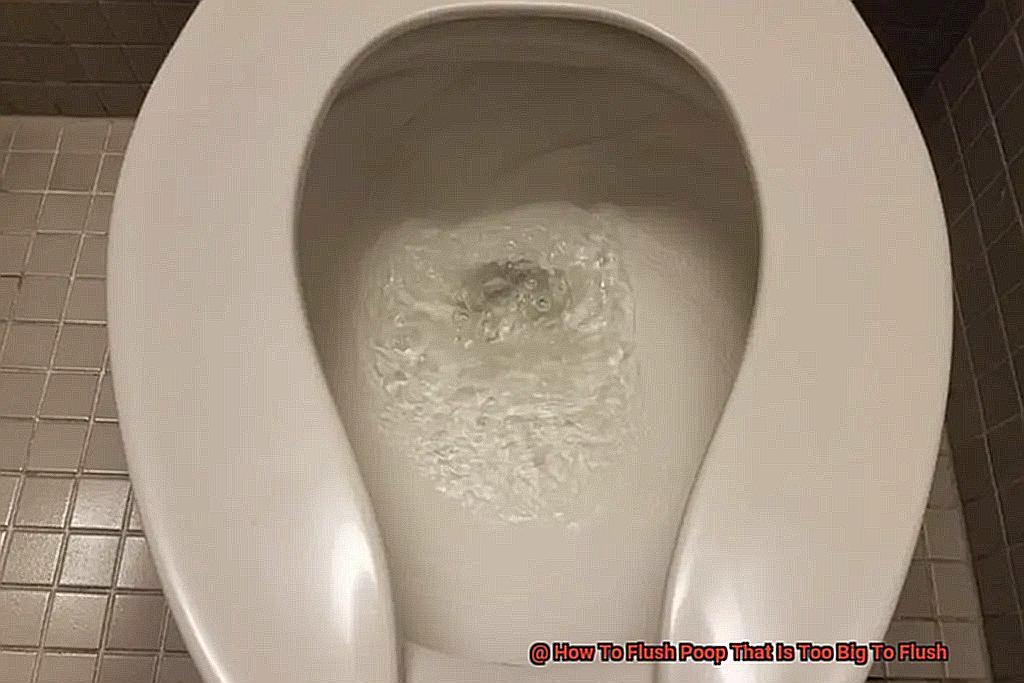 How To Flush Poop That Is Too Big To Flush-2