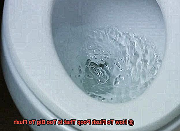 How To Flush Poop That Is Too Big To Flush-5