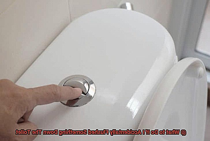 What to Do If I Accidentally Flushed Something Down The Toilet-4