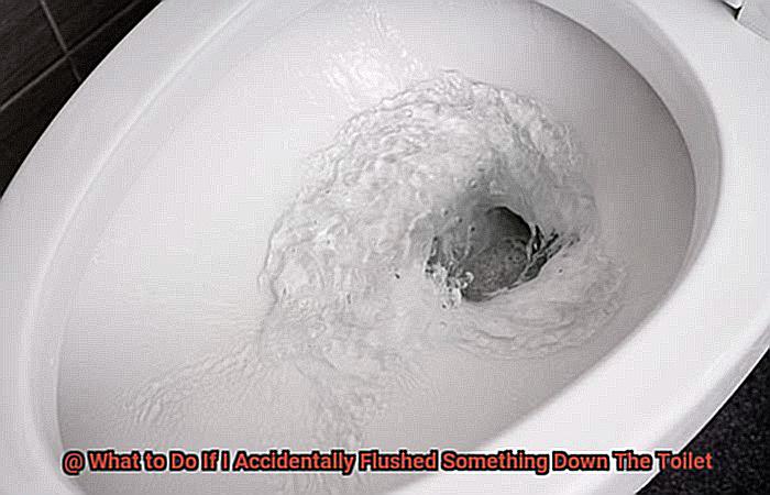 What to Do If I Accidentally Flushed Something Down The Toilet-2
