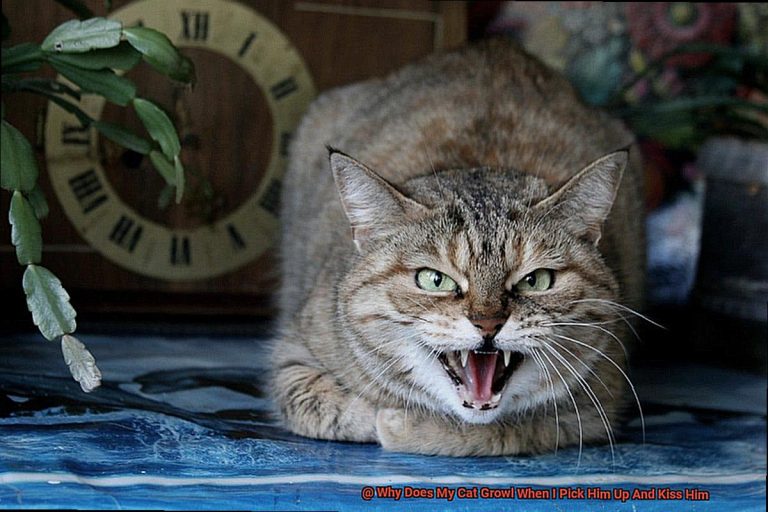 Why Is The Glass Shower Door Hinge Slipping? Scotts Home Improvement