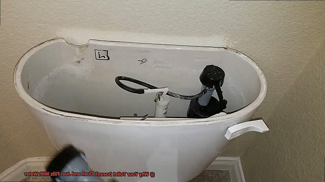 Why Your Toilet Doesn't Flush and Just Fills With Water-2