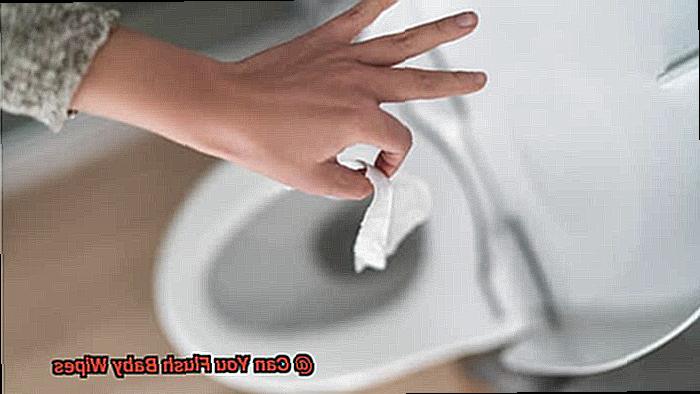 Can You Flush Baby Wipes-5