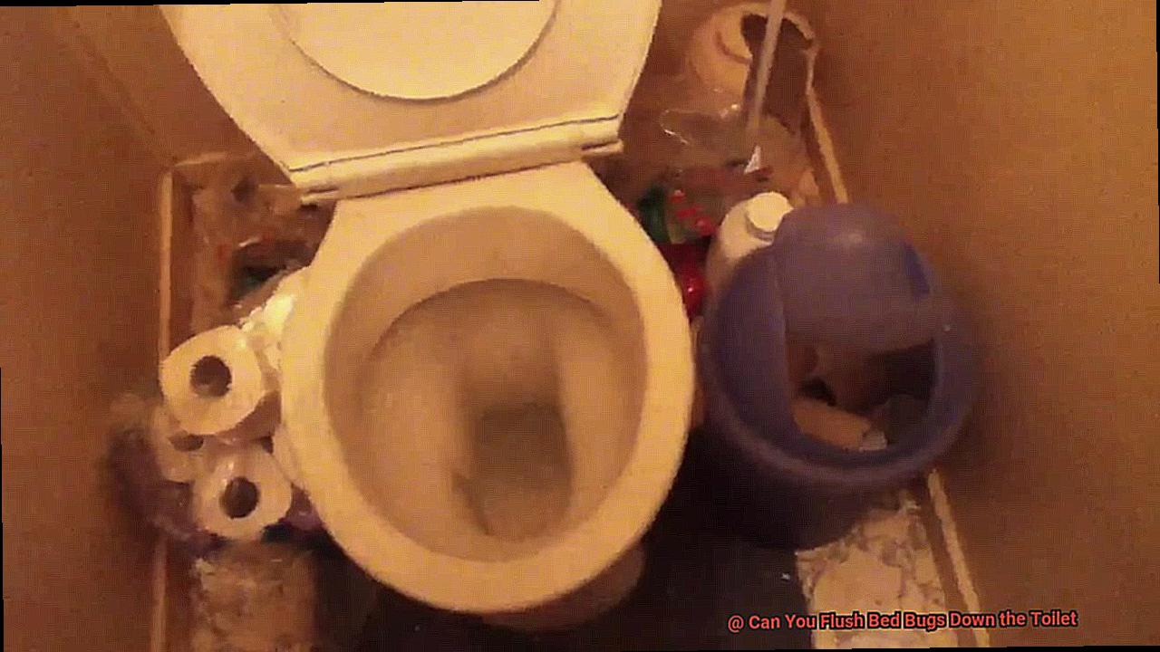 Can You Flush Bed Bugs Down the Toilet-4