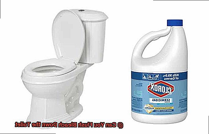 Can You Flush Bleach Down the Toilet-2