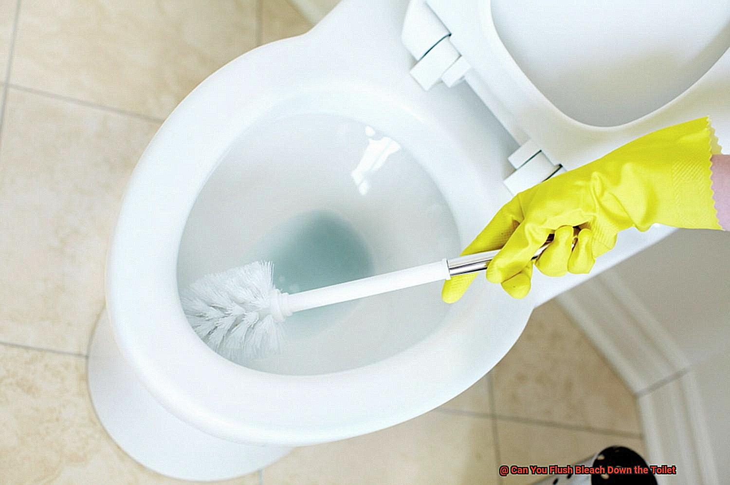 Can You Flush Bleach Down the Toilet-3
