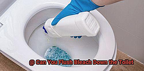 Can You Flush Bleach Down the Toilet-5