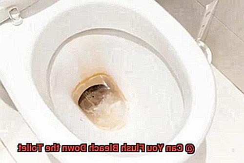 Can You Flush Bleach Down the Toilet-4