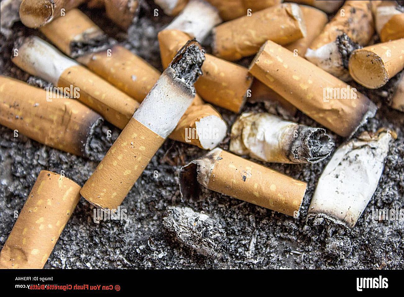 Can You Flush Cigarette Butts-2