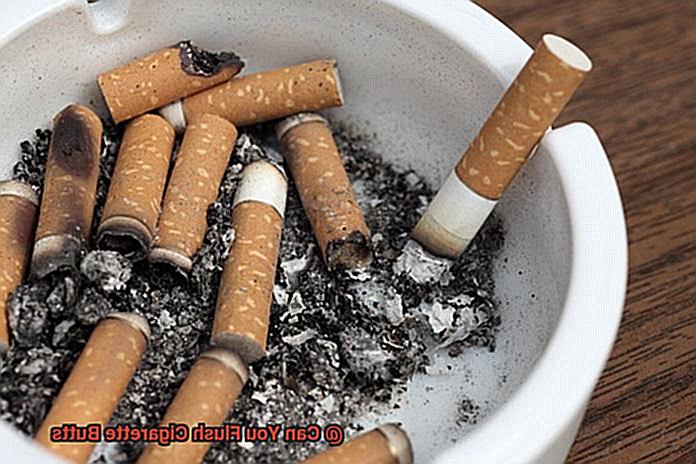 Can You Flush Cigarette Butts-5