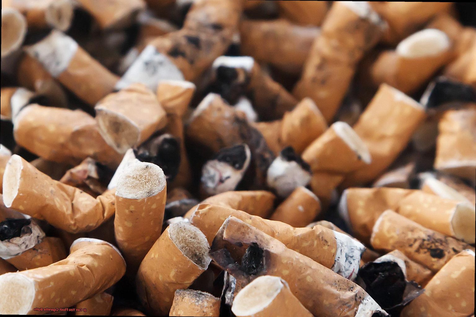 Can You Flush Cigarette Butts? Scotts Home Improvement