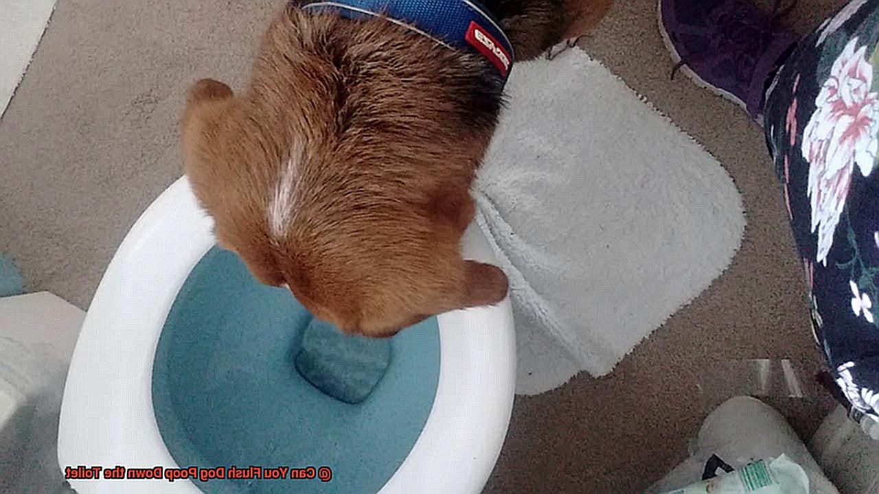 Can You Flush Dog Poop Down the Toilet-4