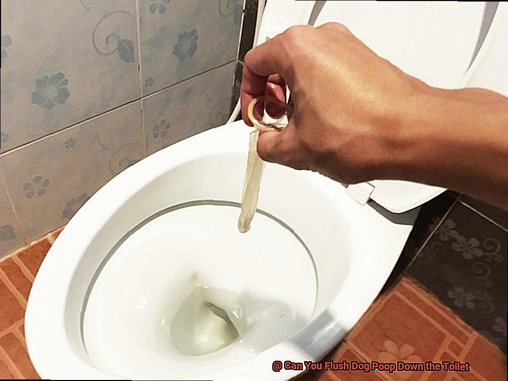 Can You Flush Dog Poop Down the Toilet-3