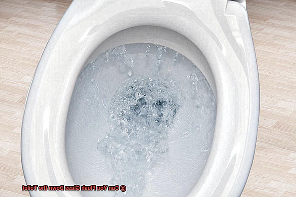 Can You Flush Glass Down the Toilet-2