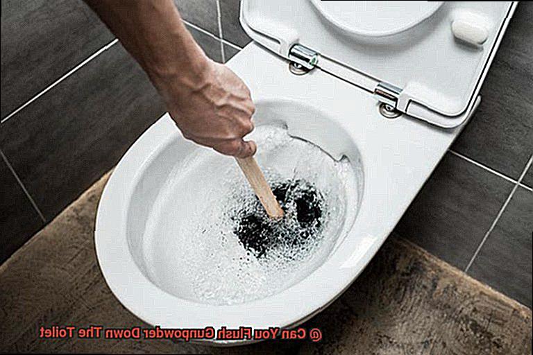 Can You Flush Gunpowder Down The Toilet-2