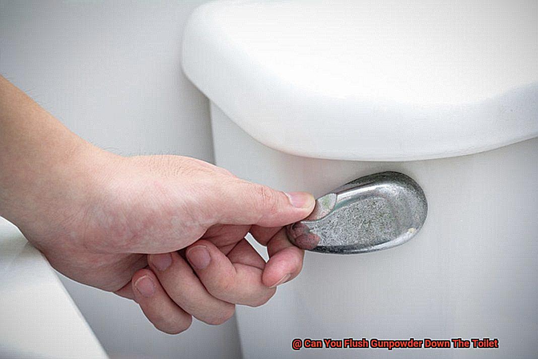 Can You Flush Gunpowder Down The Toilet-3