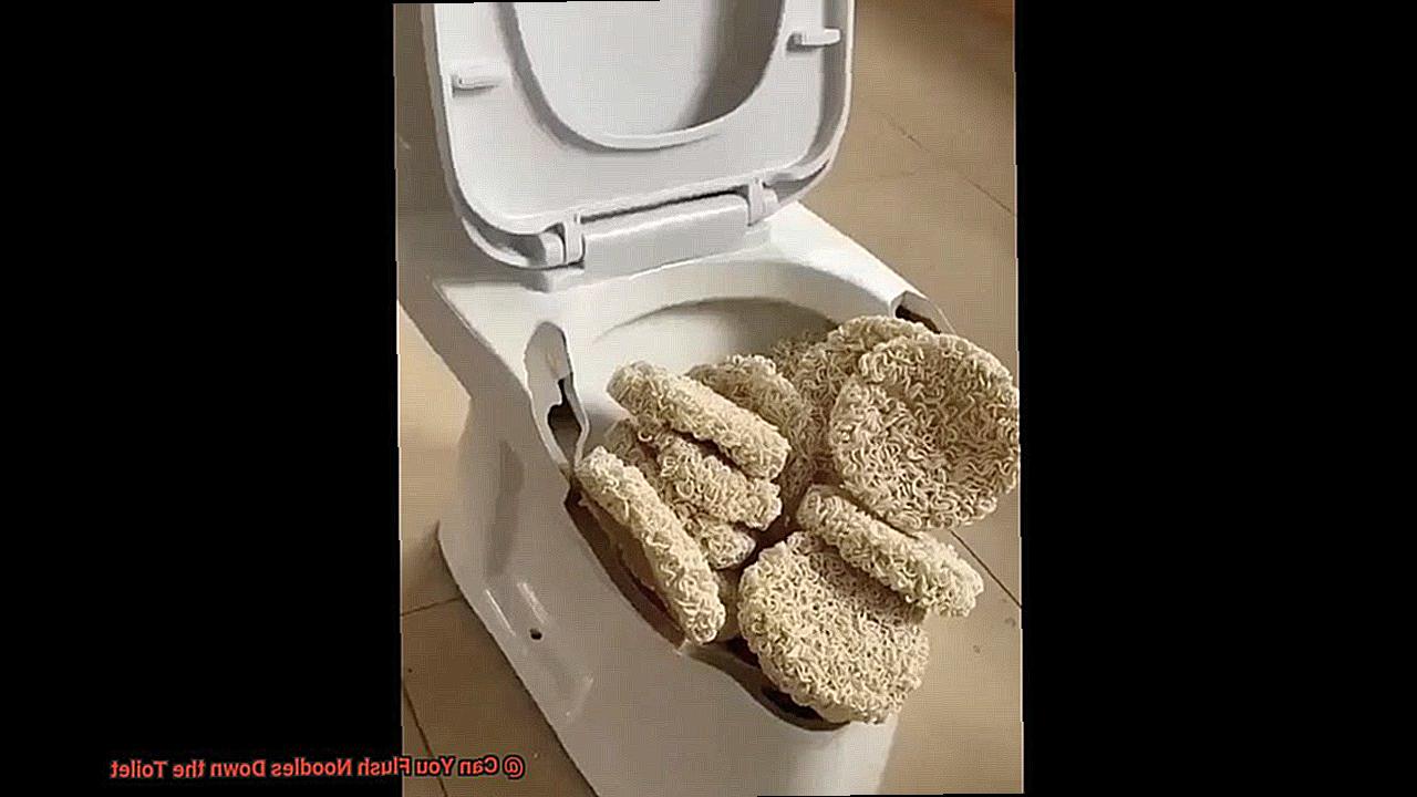 Can You Flush Noodles Down the Toilet-3