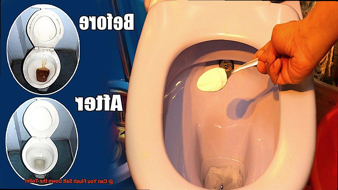 Can You Flush Salt Down the Toilet-2