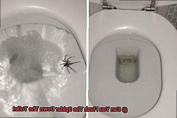 Can You Flush The Spider Down The Toilet-2