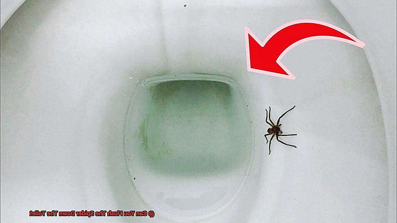 Can You Flush The Spider Down The Toilet-3