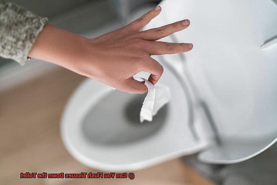 Can You Flush Tissues Down the Toilet-2