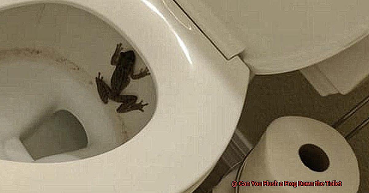 Can You Flush a Frog Down the Toilet-2