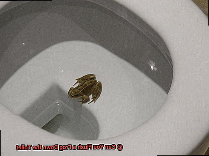 Can You Flush a Frog Down the Toilet-7
