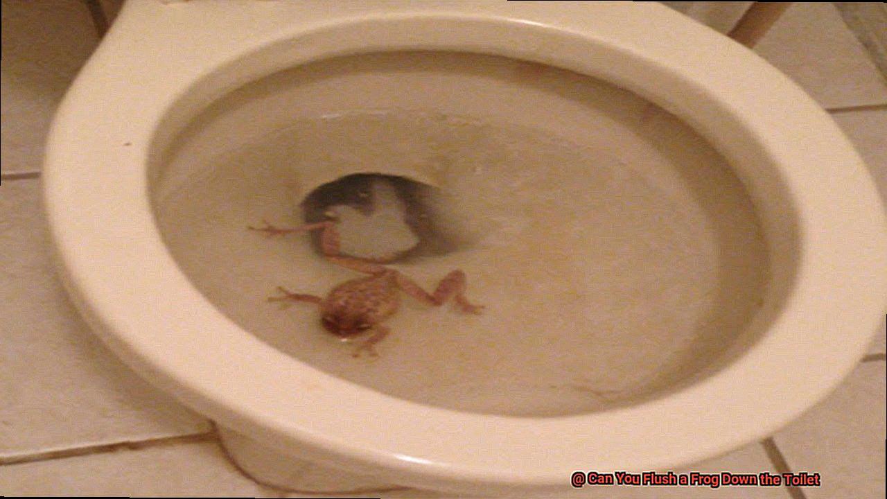 Can You Flush a Frog Down the Toilet-5