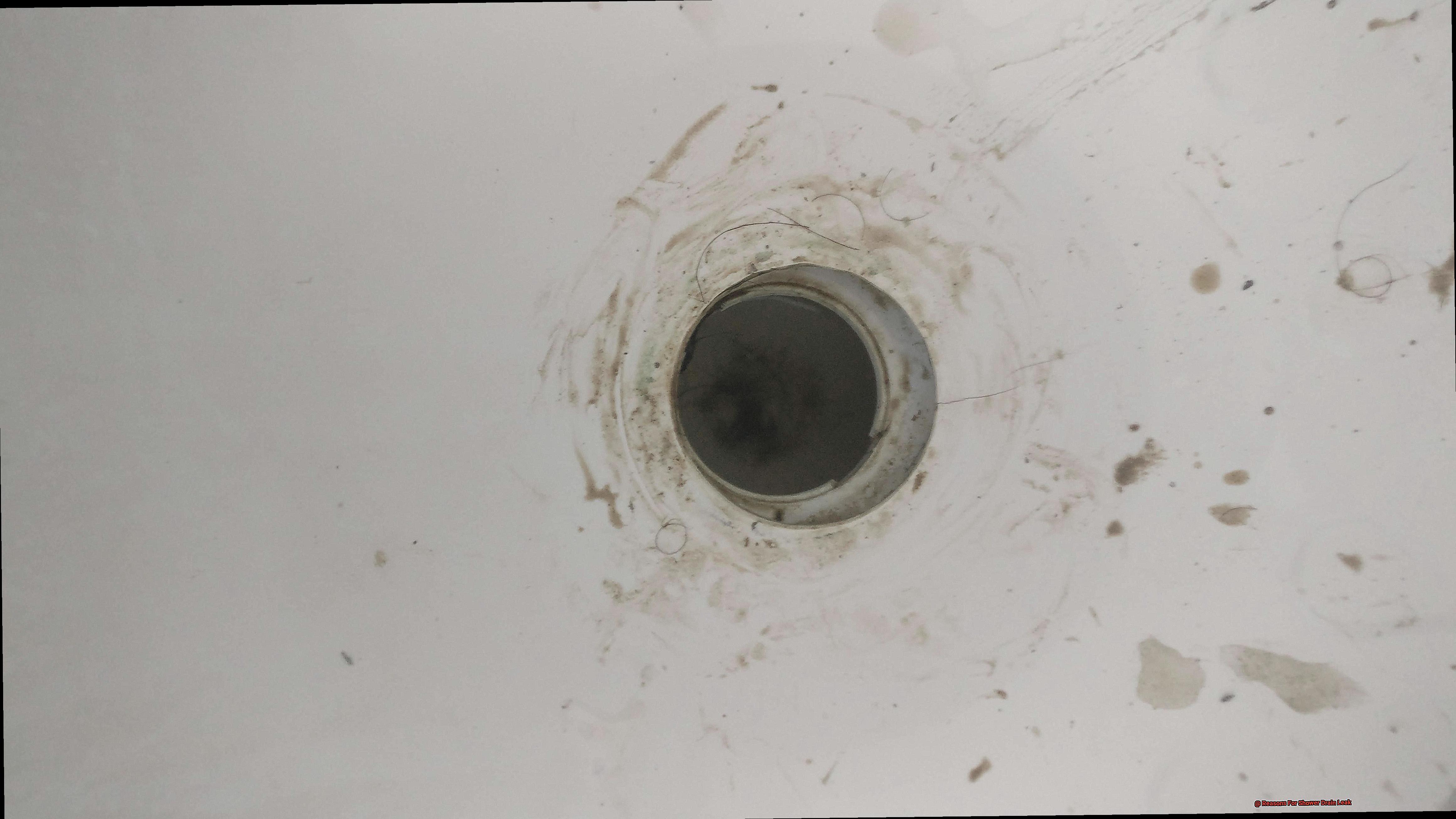 Reasons For Shower Drain Leak-2