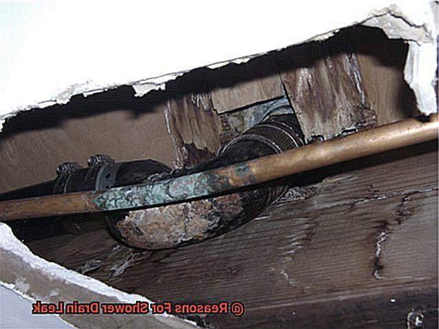 Reasons For Shower Drain Leak-6