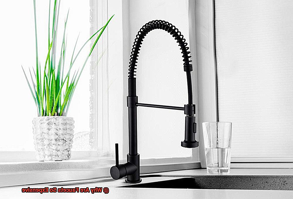 Why Are Faucets So Expensive-4