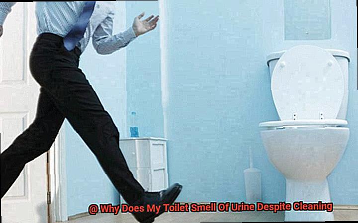 Why Does My Toilet Smell Of Urine Despite Cleaning-3