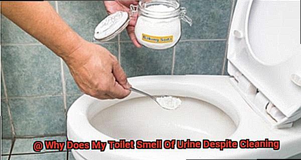 Why Does My Toilet Smell Of Urine Despite Cleaning-2