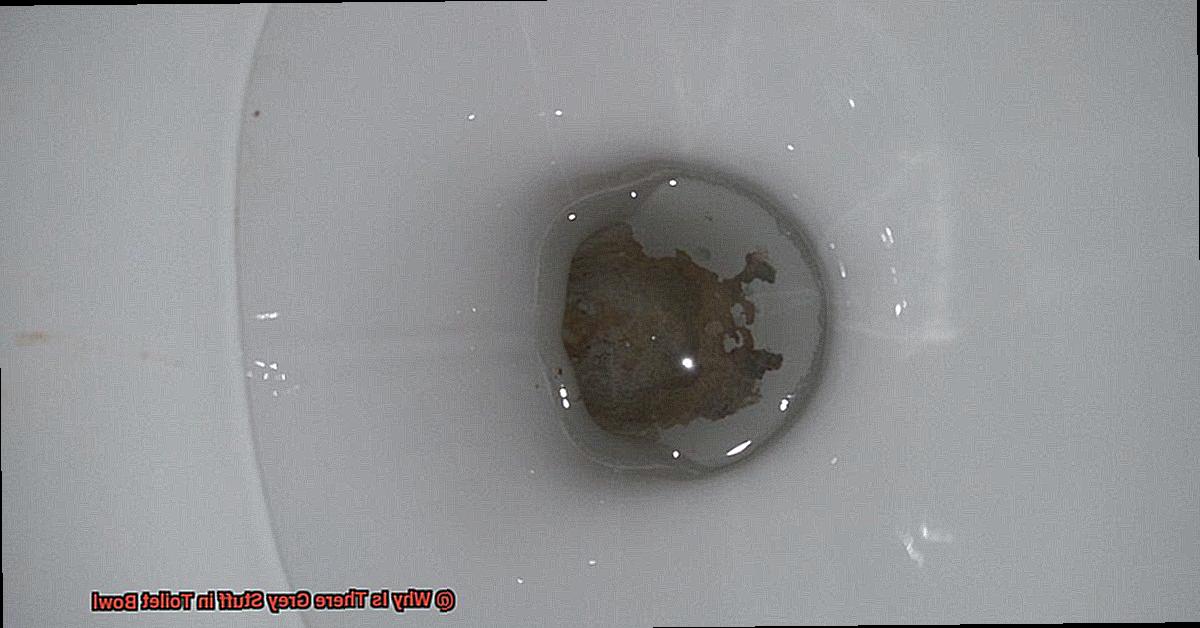 Why Is There Grey Stuff in Toilet Bowl-5