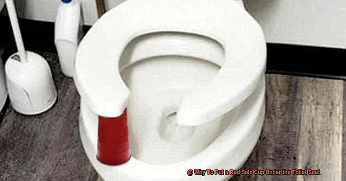 Why To Put a Red Solo Cup Under the Toilet Seat-2