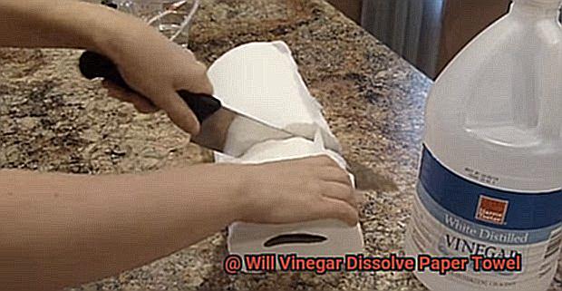 Will Vinegar Dissolve Paper Towel-6
