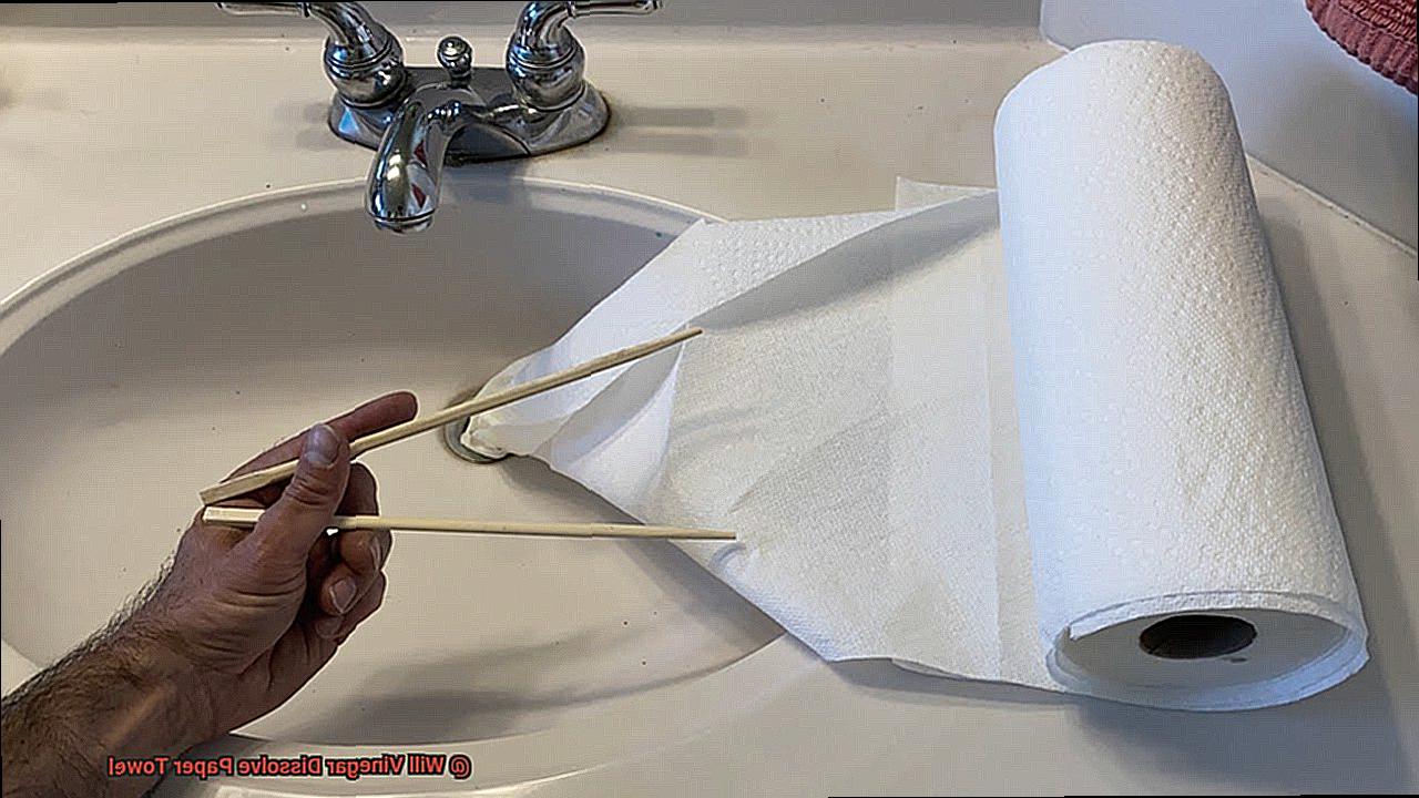 Will Vinegar Dissolve Paper Towel-4