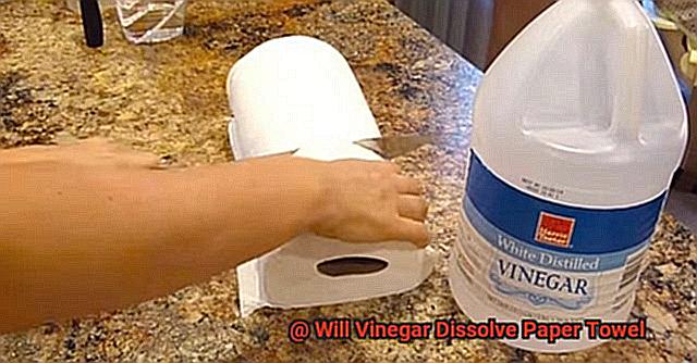 Will Vinegar Dissolve Paper Towel-2
