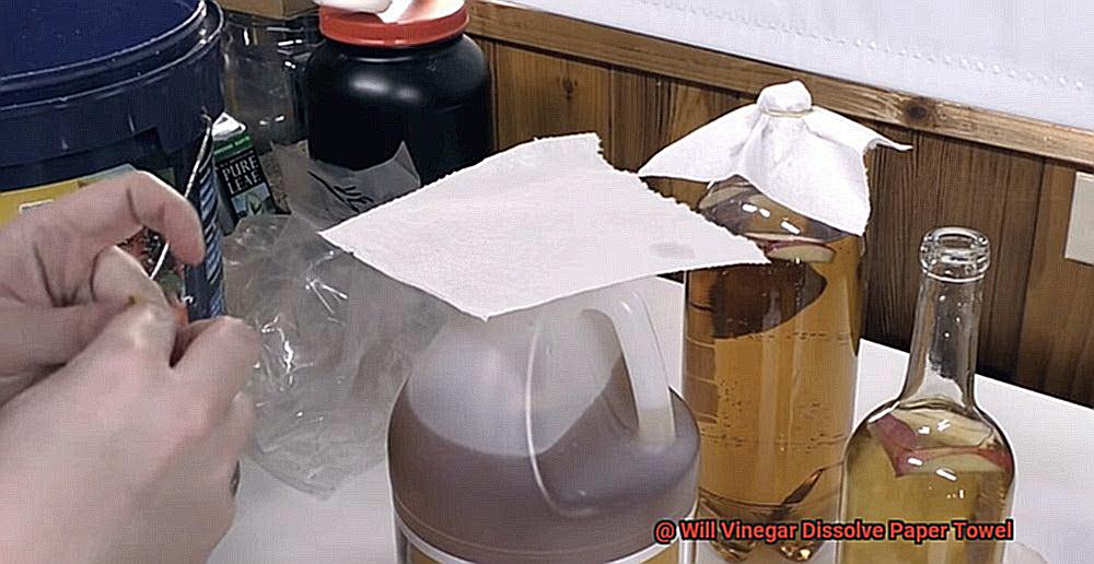 Will Vinegar Dissolve Paper Towel-3