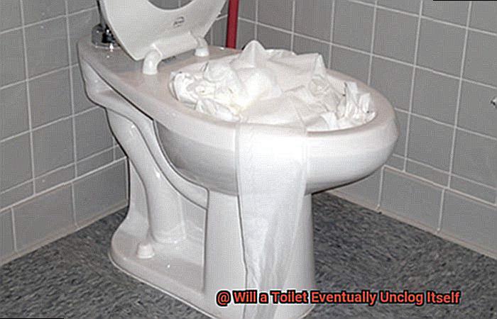 Will a Toilet Eventually Unclog Itself-3